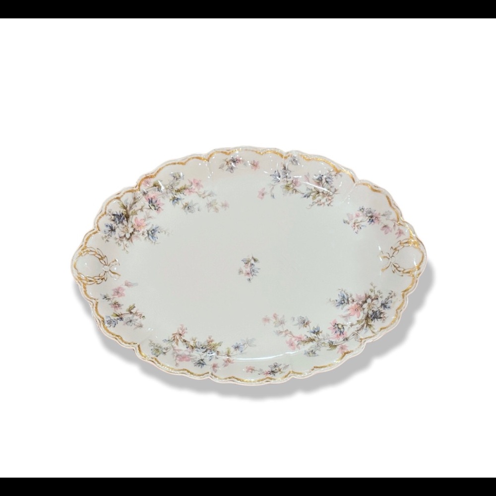 14” Haviland & Co Limoges France China Platter